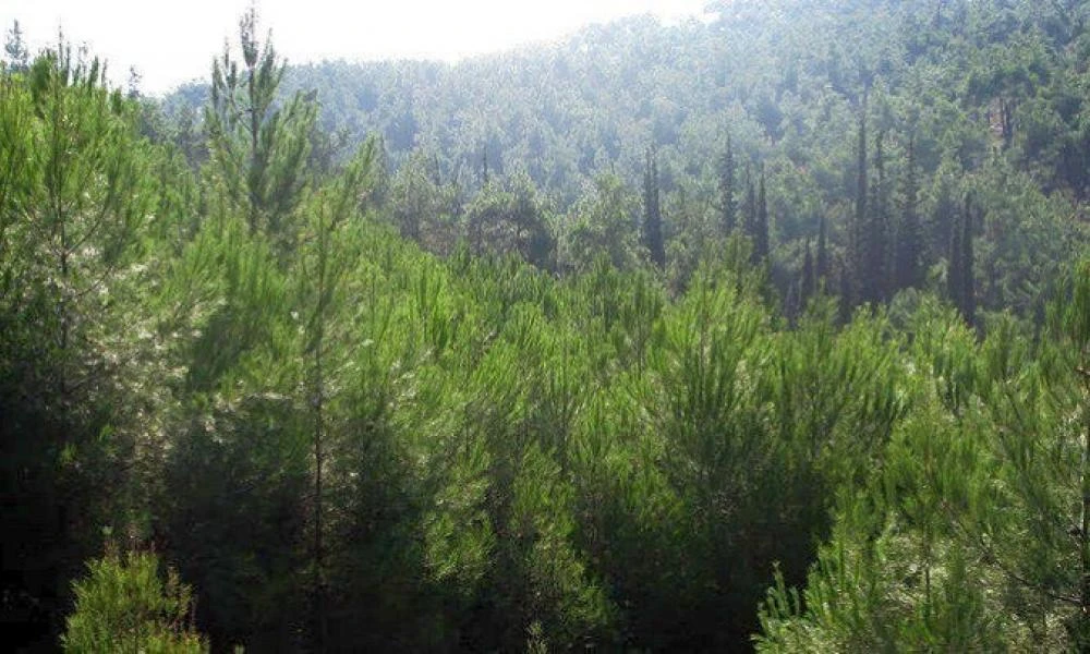 Απαγορεύεται αύριο η είσοδος σε δάση στις περιοχές όπου προβλέπεται κίνδυνος πυρκαγιάς